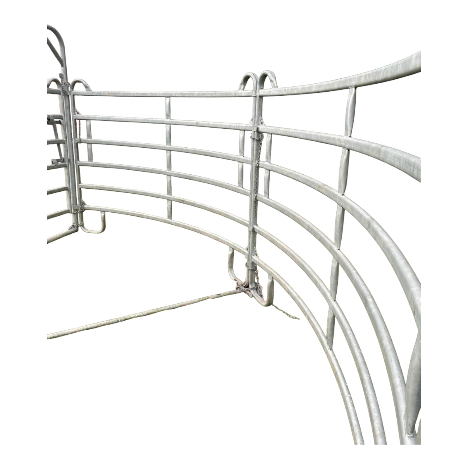 Fanganlage Rinder – Bild 11