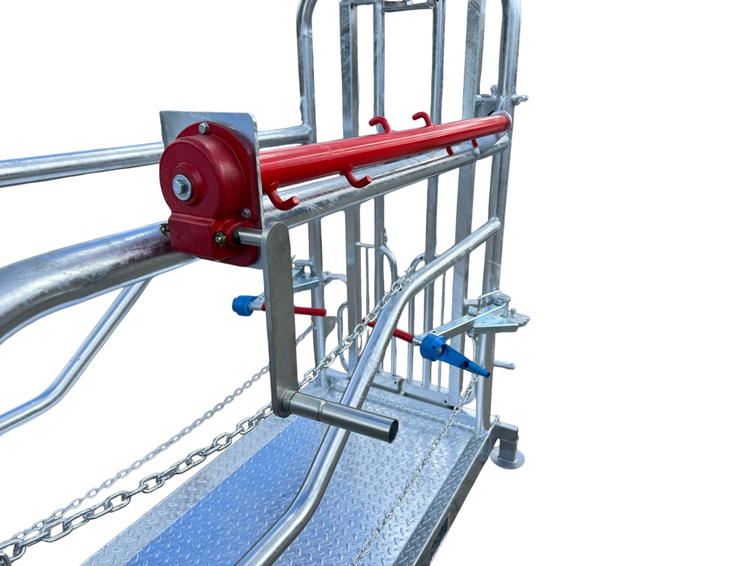 Klauenpflegestand Typ 1 – Bild 12