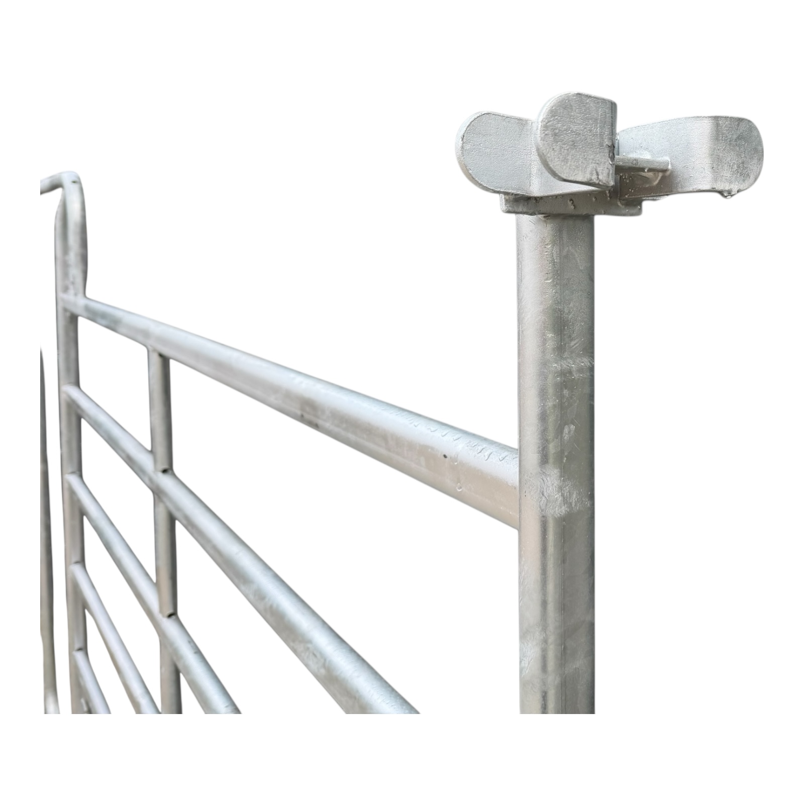 Fanganlage Rinder – Bild 15