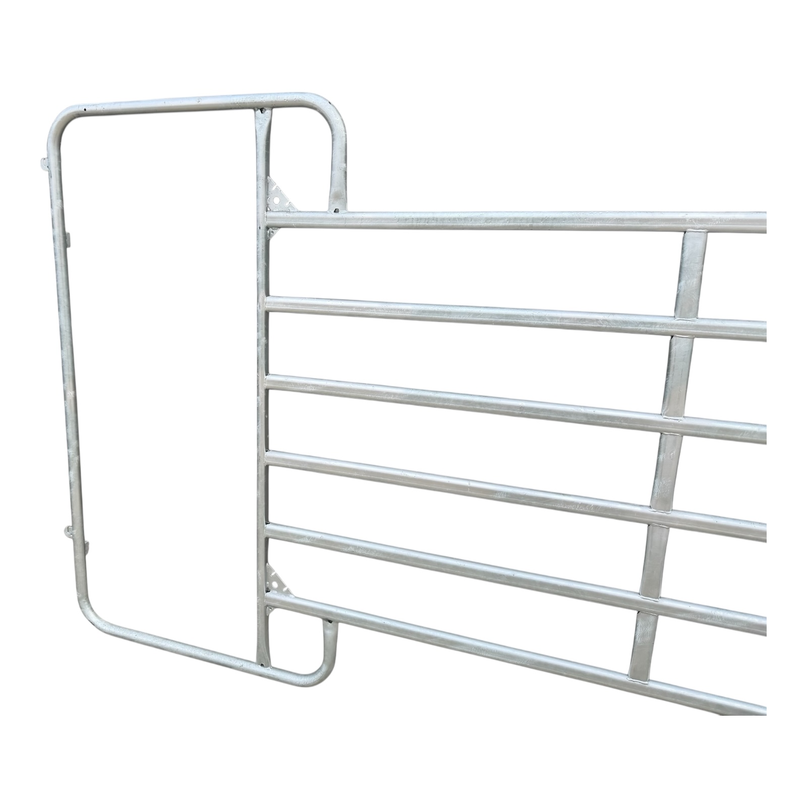 Fanganlage Rinder – Bild 14