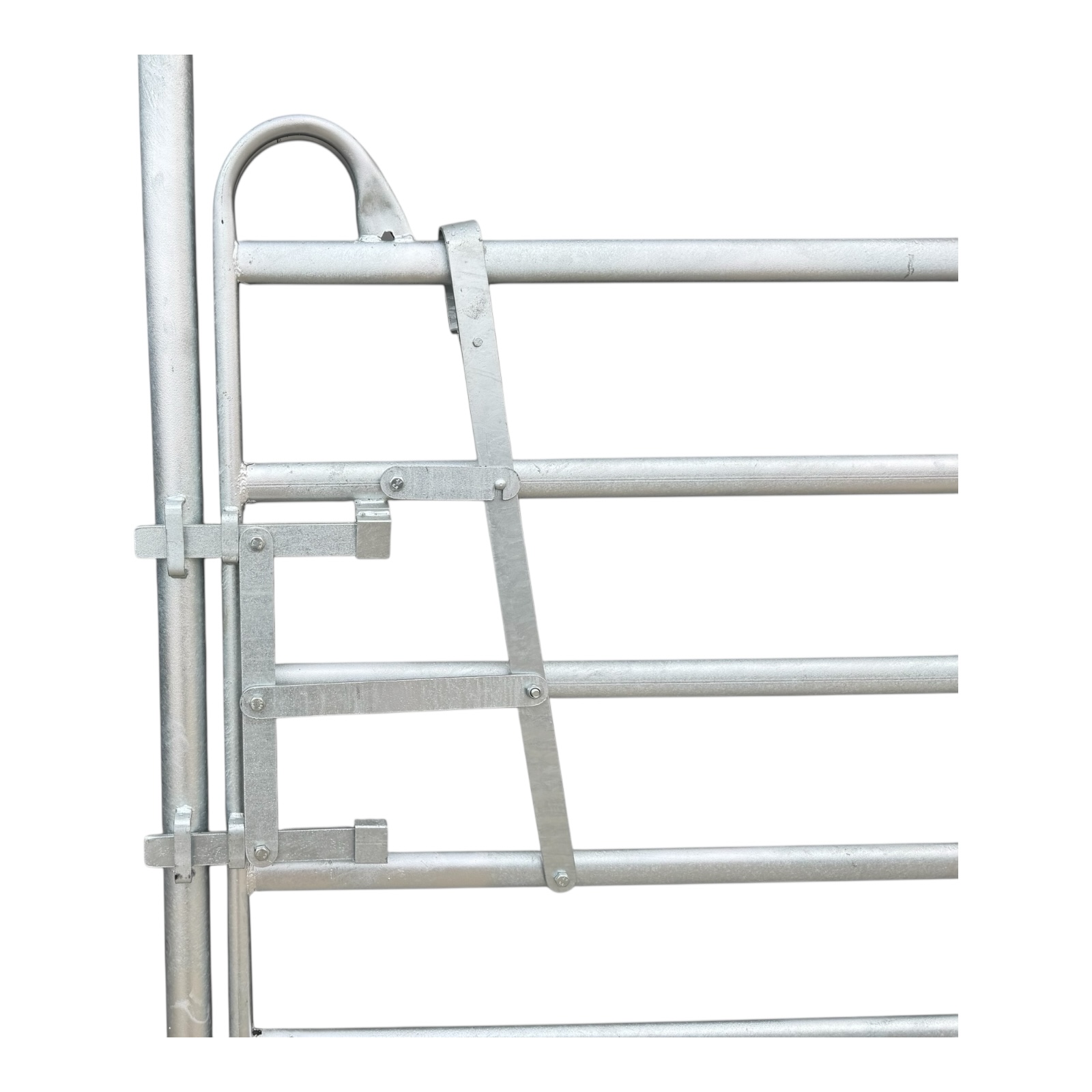 Fanganlage Rinder – Bild 9