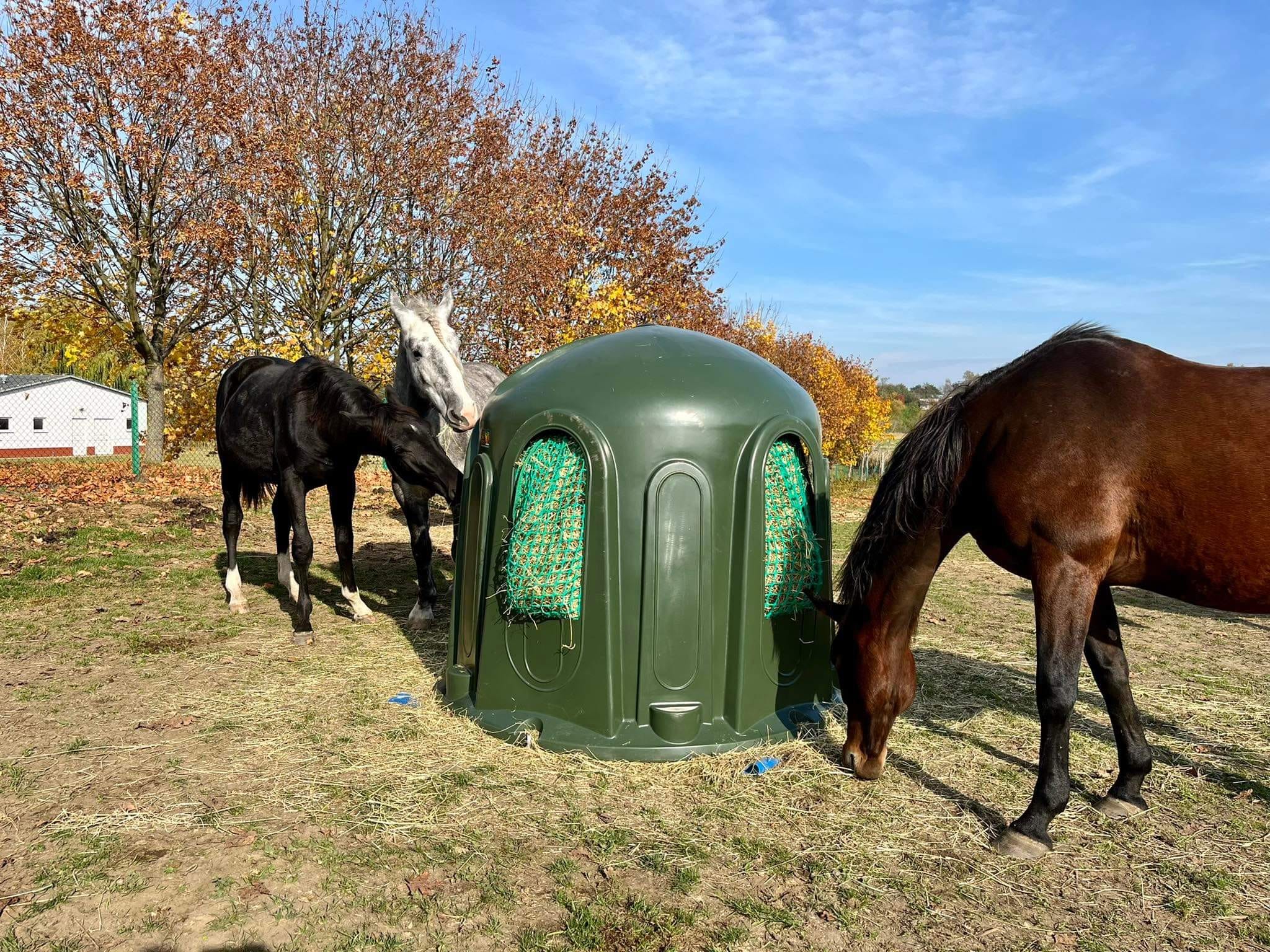 Heuglocke mit 5 Fressöffnungen und Heunetz, für Rundballen bis 150cm – Bild 4
