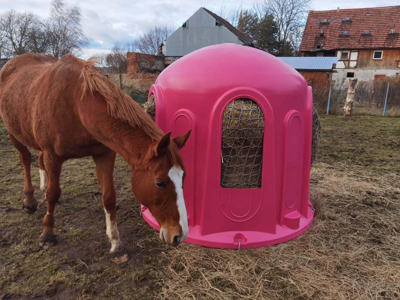 Heuglocke mit 5 Fressöffnungen und Heunetz, für Rundballen bis 150cm pink – Bild 4