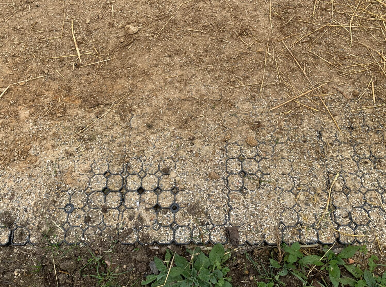 Paddockplatten - 55m² Rasengitter, Paddockgitter, 57x38x4cm – Bild 4