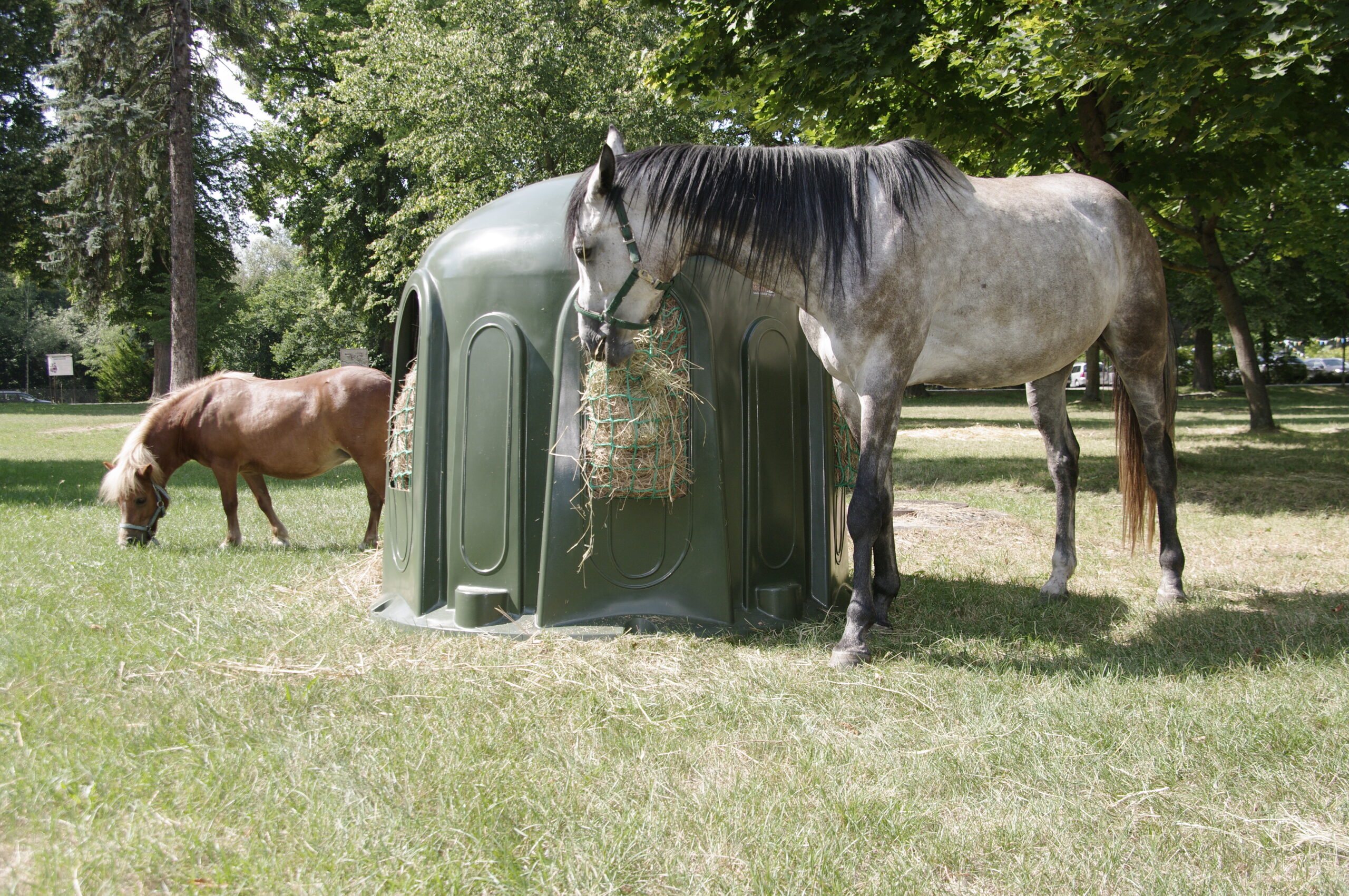 Heuglocke mit 5 Fressöffnungen und Heunetz, für Rundballen bis 150cm – Bild 3