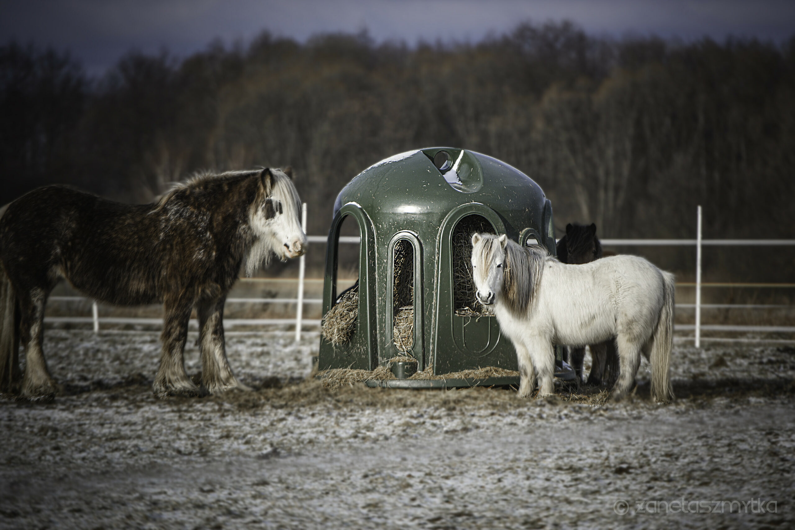 Heuglocke mit 10 Fressöffnungen und Heunetz, für Rundballen bis 150cm – Bild 5