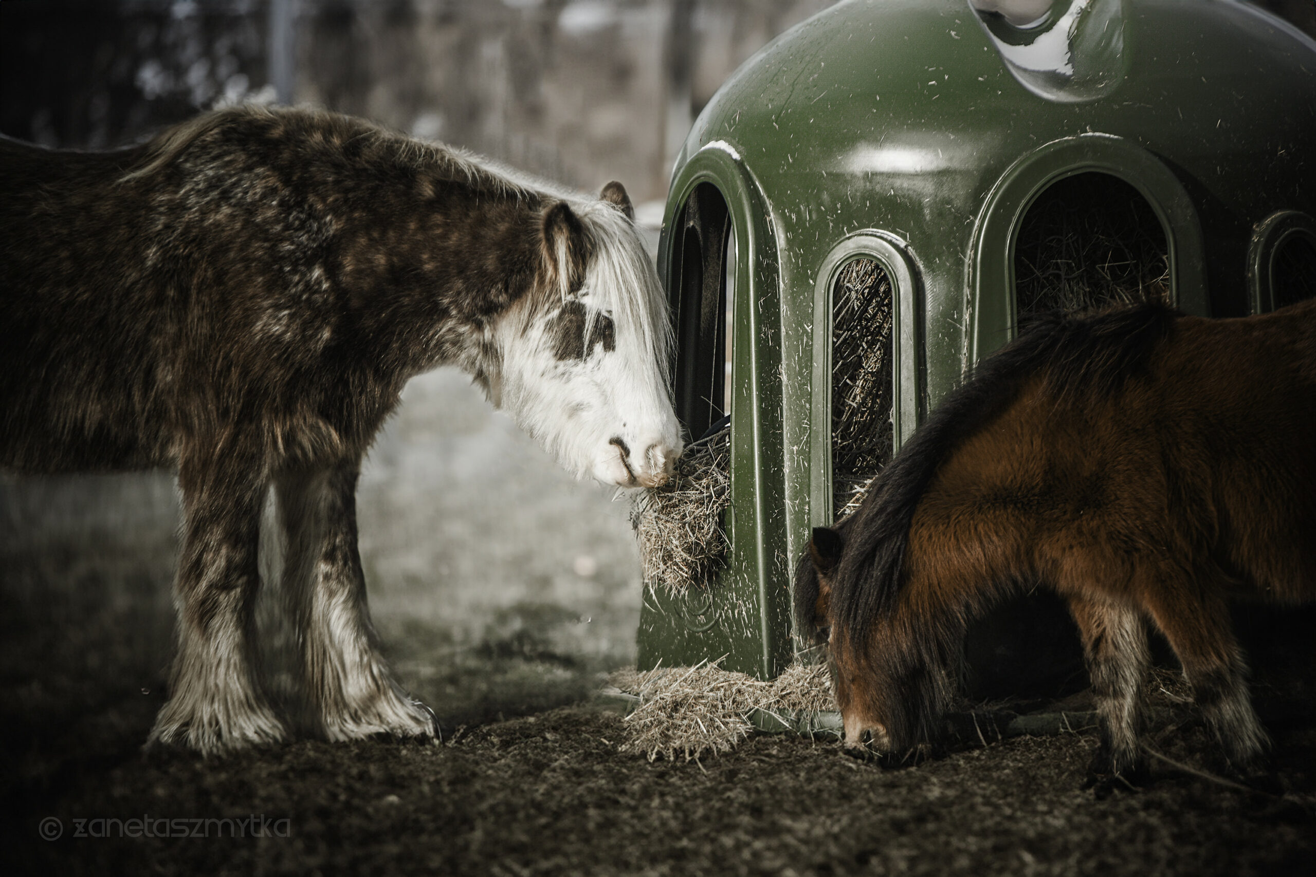 Heuglocke mit 10 Fressöffnungen und Heunetz, für Rundballen bis 150cm – Bild 4