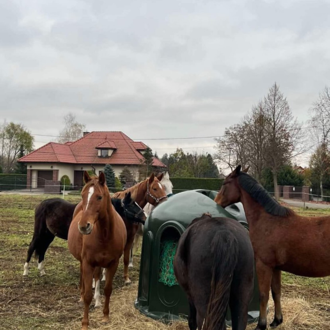 Heuglocke mit 5 Fressöffnungen und Heunetz, für Rundballen bis 150cm – Bild 5