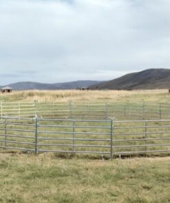 Roundpen / Longierzirkel