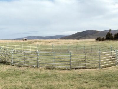 Roundpen / Longierzirkel