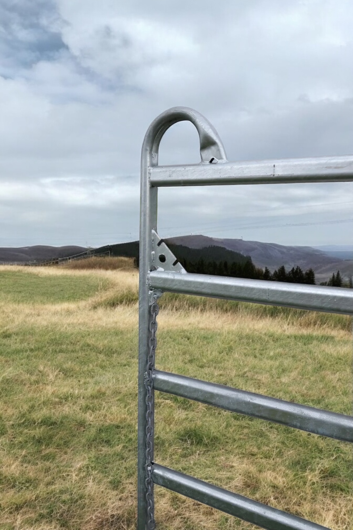 Weidepanel Texaspanel Panel 3m – Bild 3