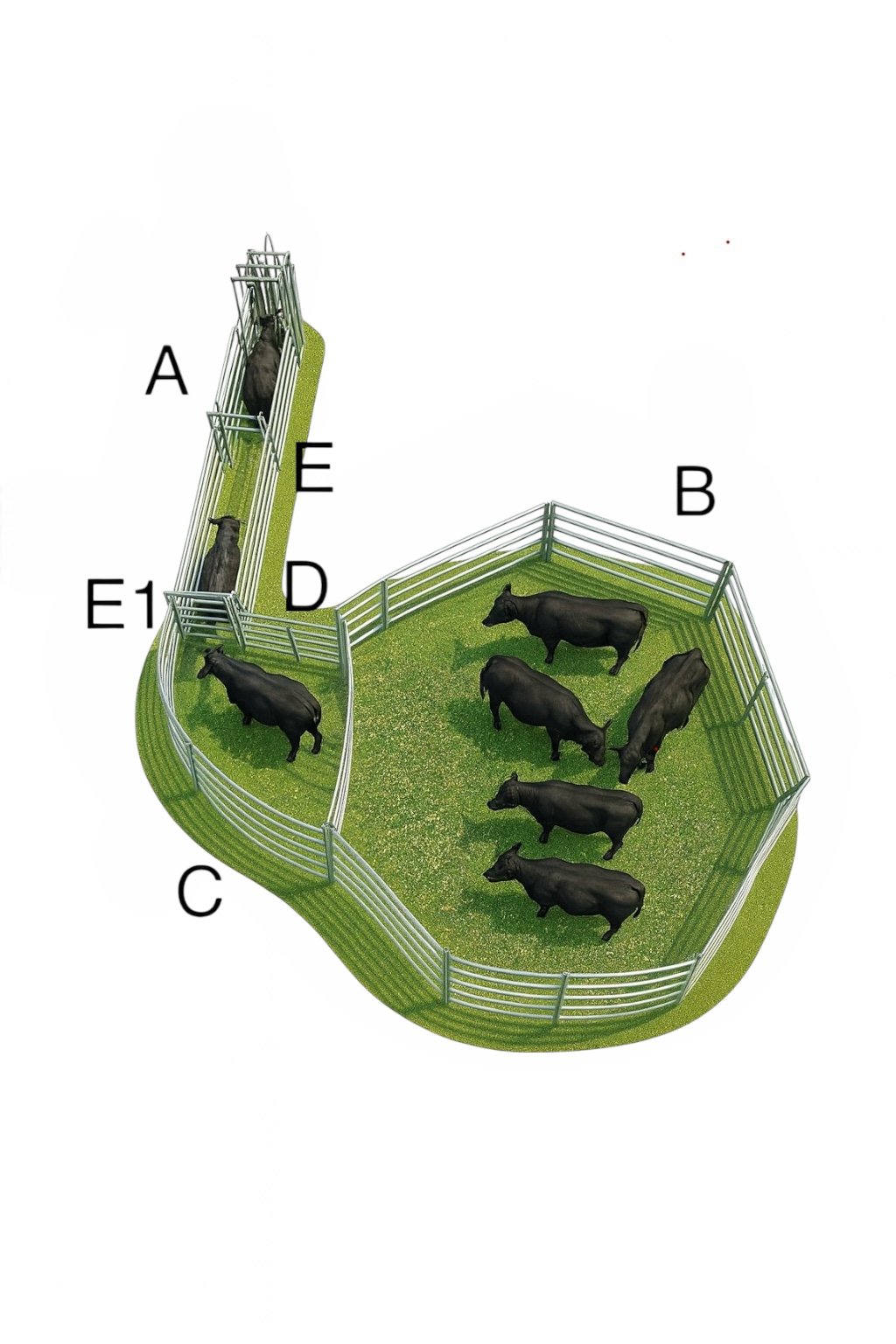 Fanganlage Rinder klein