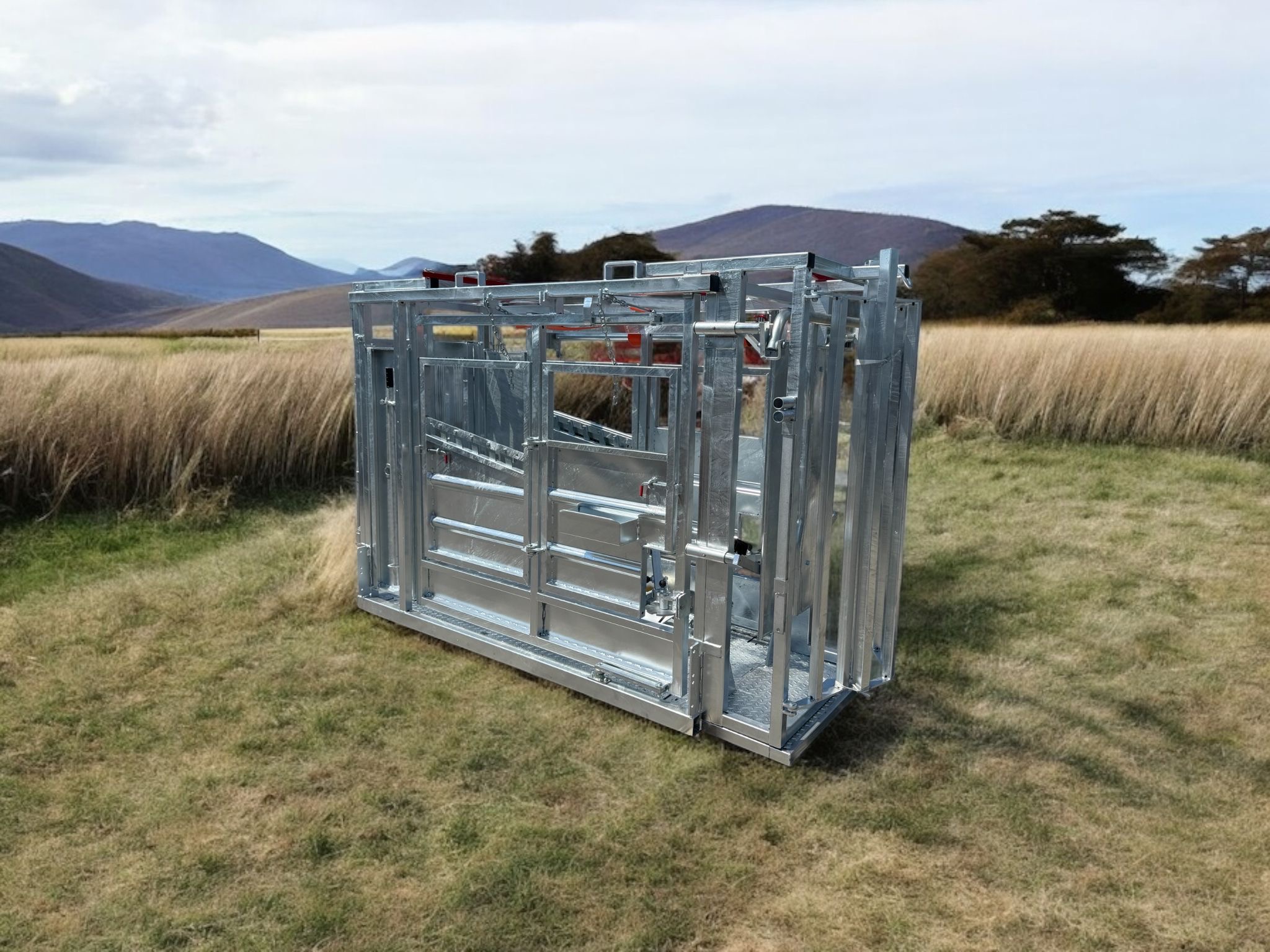 Behandlungsstand Rinder Typ 1