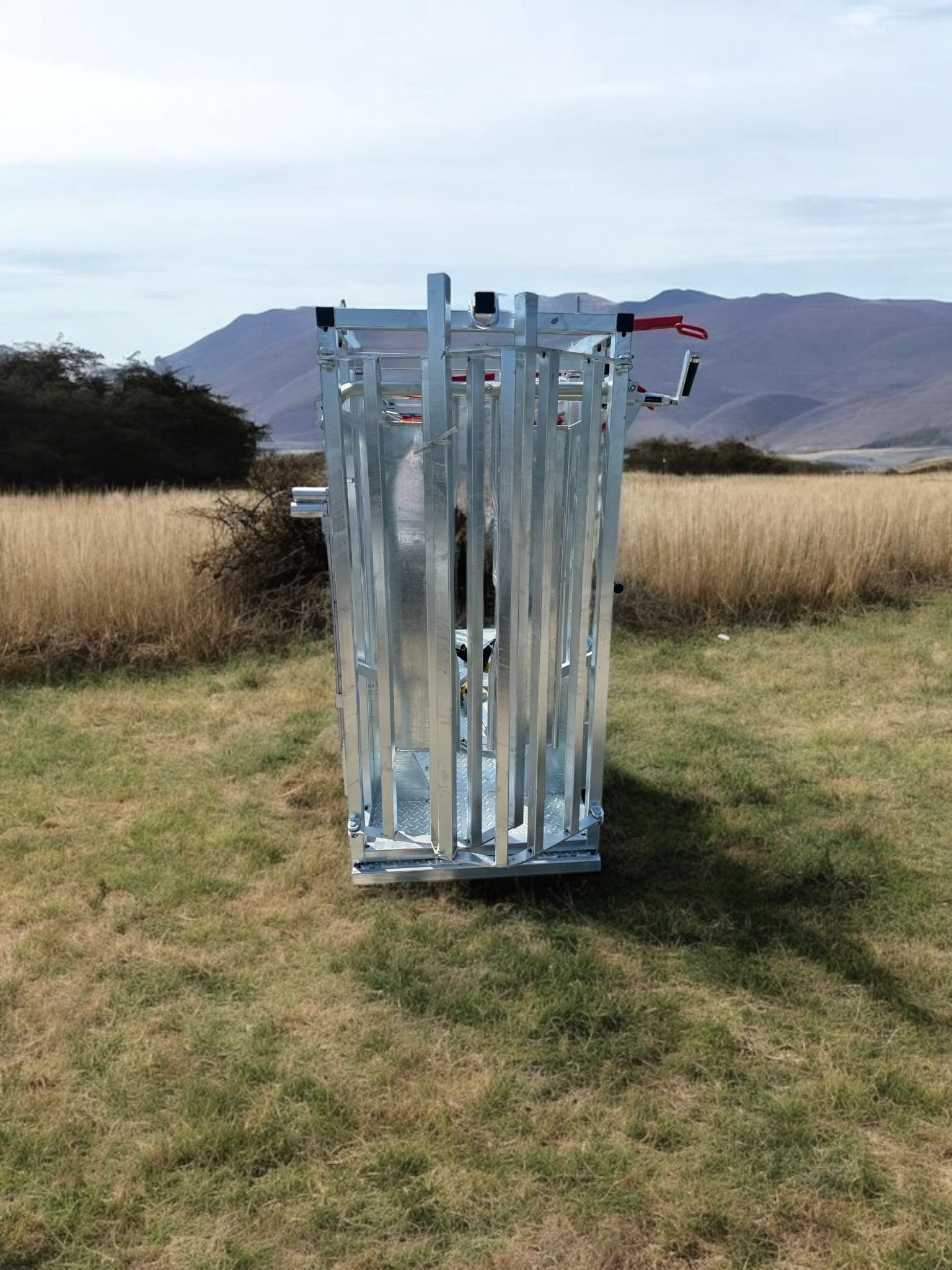 Behandlungsstand Rinder Typ 1 – Bild 3