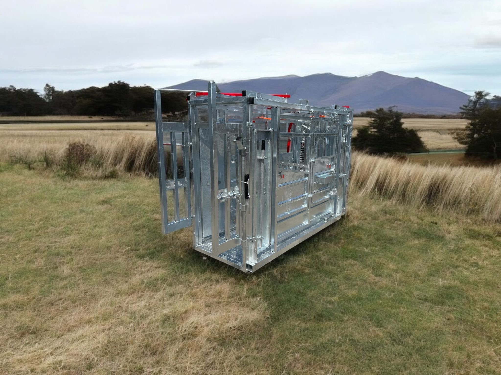 Behandlungsstand Rinder Typ 1 – Bild 4