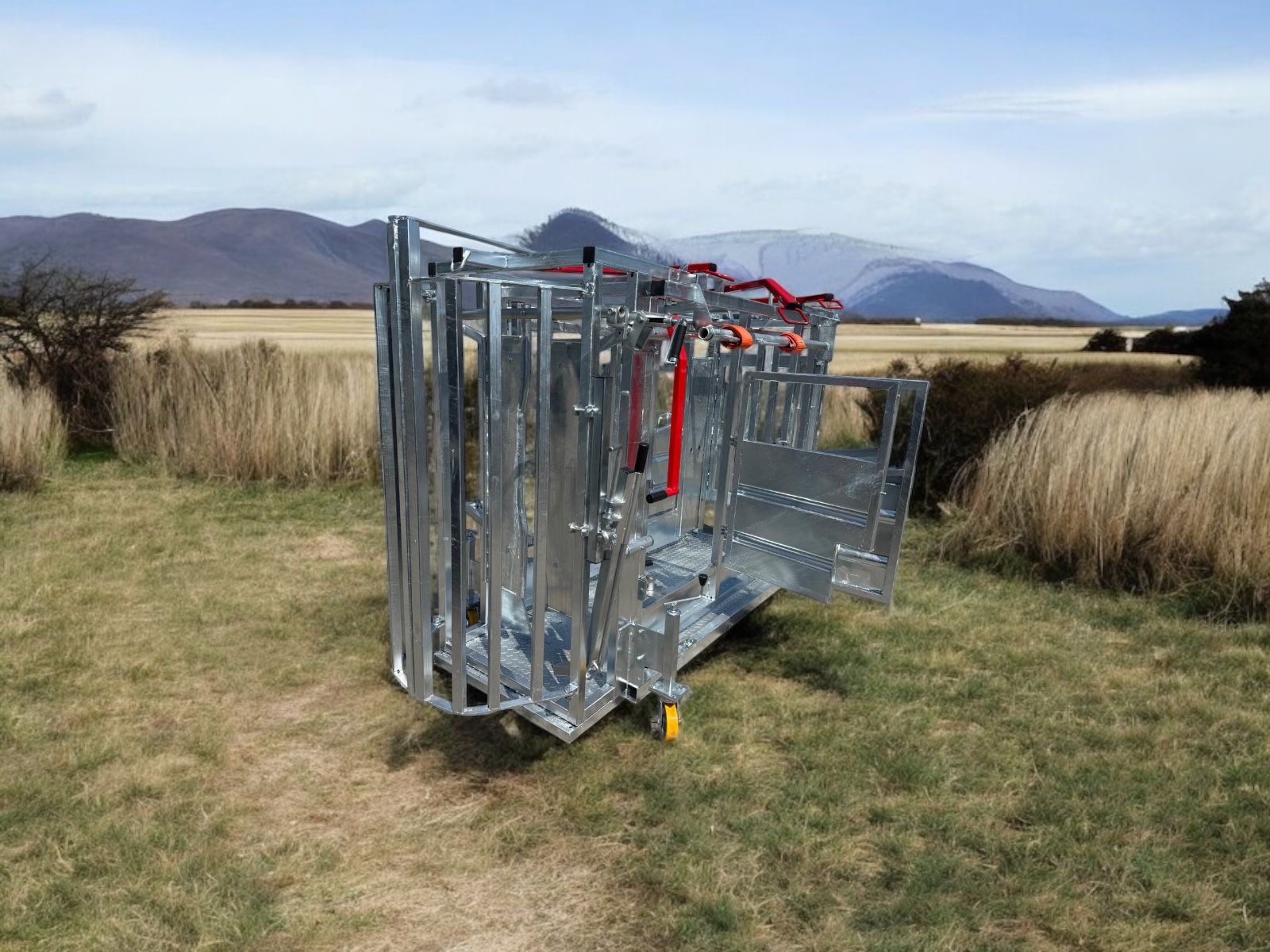 Behandlungsstand Rinder Typ 1 – Bild 5