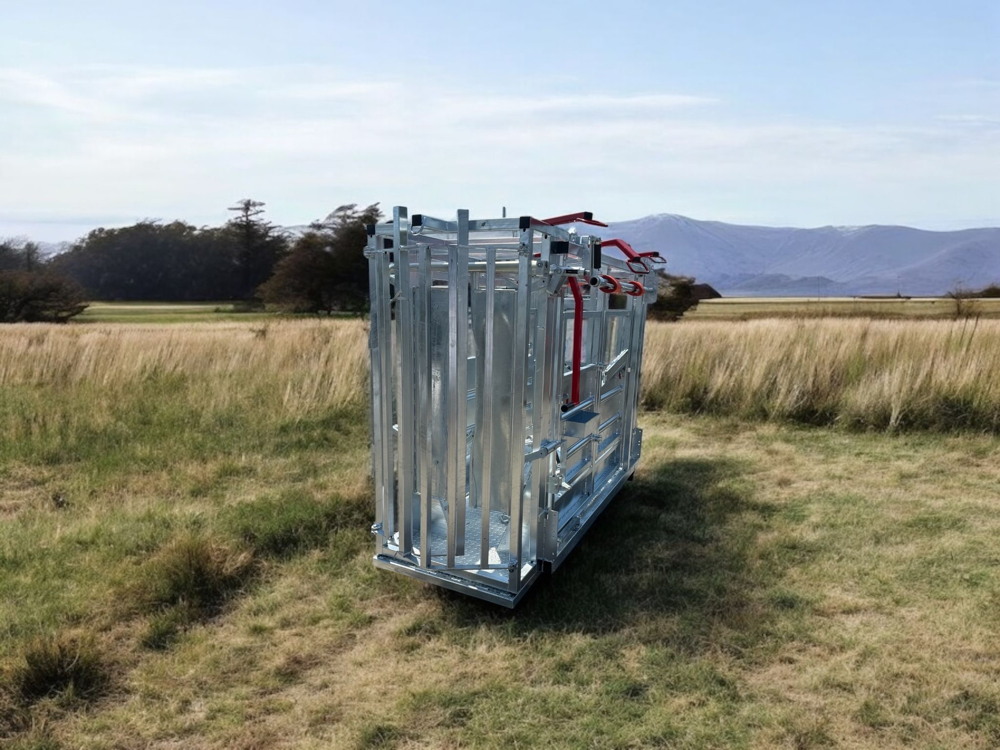 Behandlungsstand Rinder Typ 1 – Bild 6