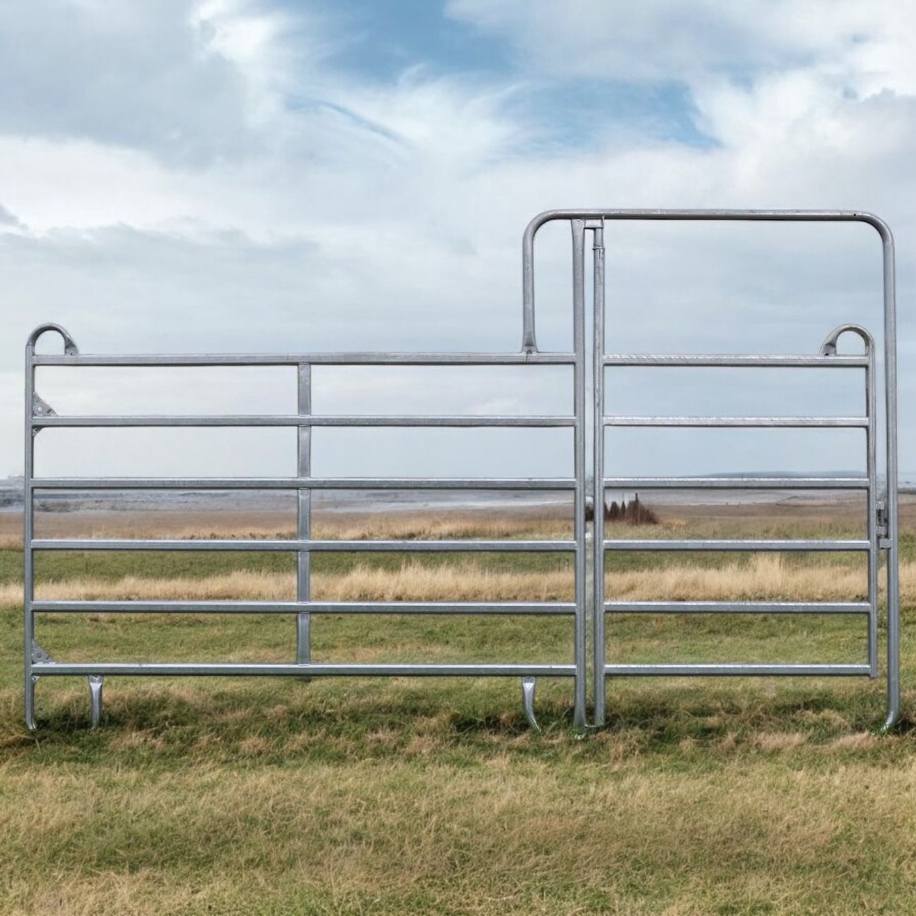 Weidepanel Tor Texaspanel Tür Panel 3,6m